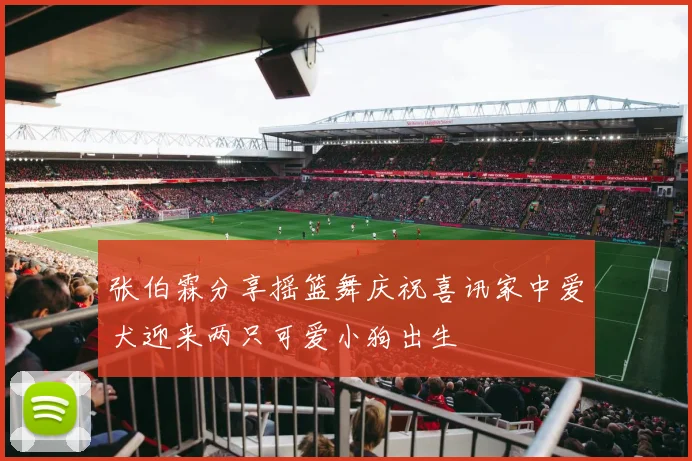 张伯霖分享摇篮舞庆祝喜讯家中爱犬迎来两只可爱小狗出生
