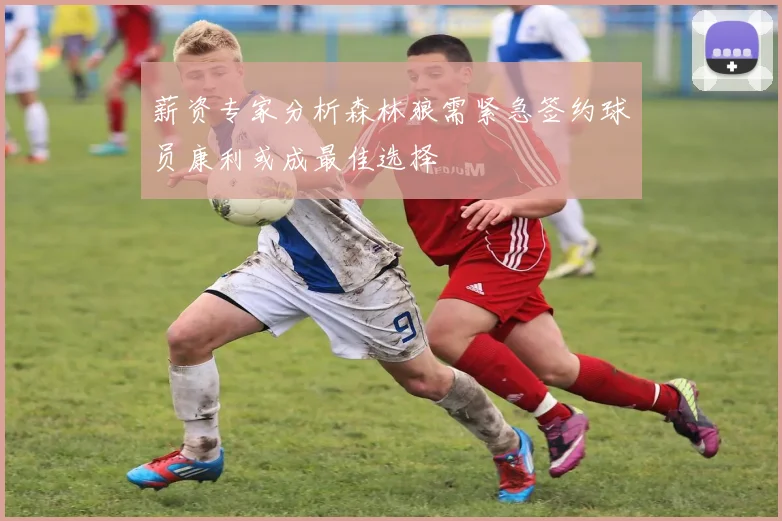 薪资专家分析森林狼需紧急签约球员康利或成最佳选择