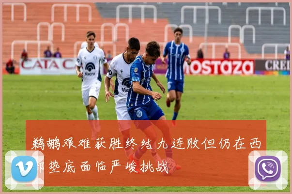 鹈鹕艰难获胜终结九连败但仍在西部垫底面临严峻挑战