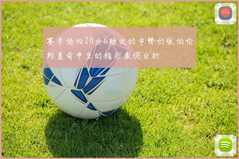 赛季场均20分6助攻的中锋们张伯伦约基奇申京的精彩表现分析