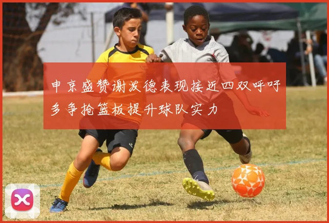 申京盛赞谢泼德表现接近四双呼吁多争抢篮板提升球队实力